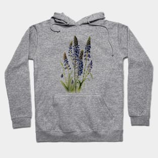 Grape hyacinth Hoodie